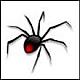 Black Widow's Avatar