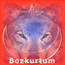 Bozkurtum's Avatar