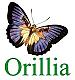 orillia's Avatar